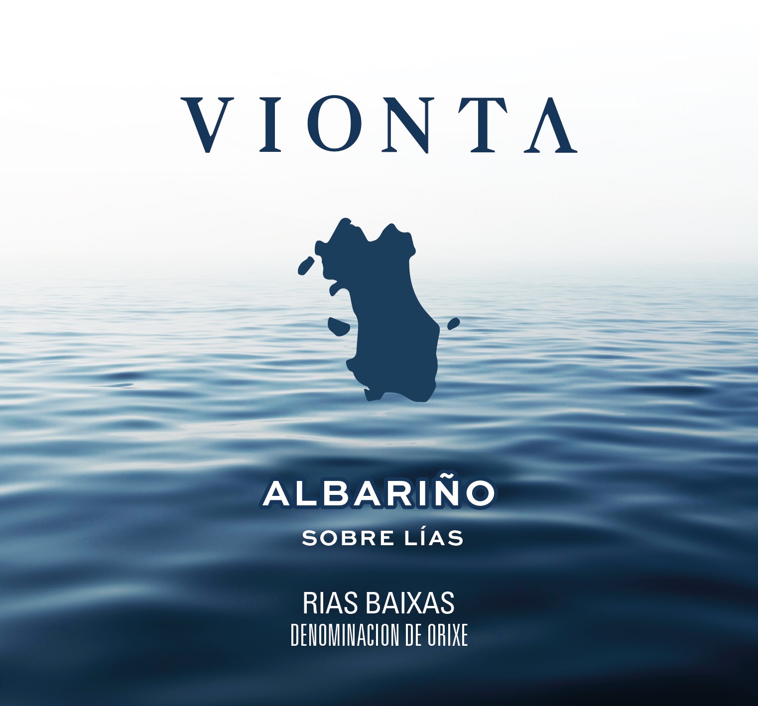 TORNEO BODEGA VIONTA