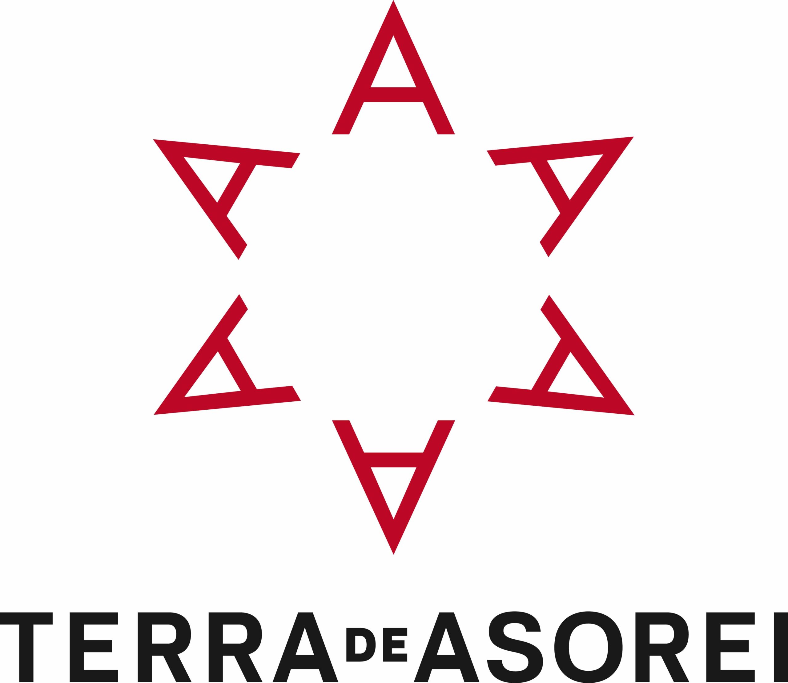TORNEO TERRA DE ASOREI